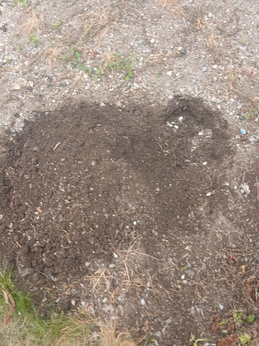 Topsoil - Image 4