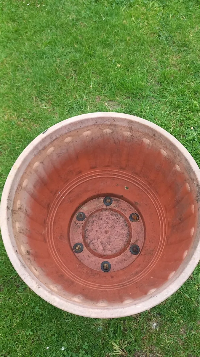 Large plant pot - Image 2