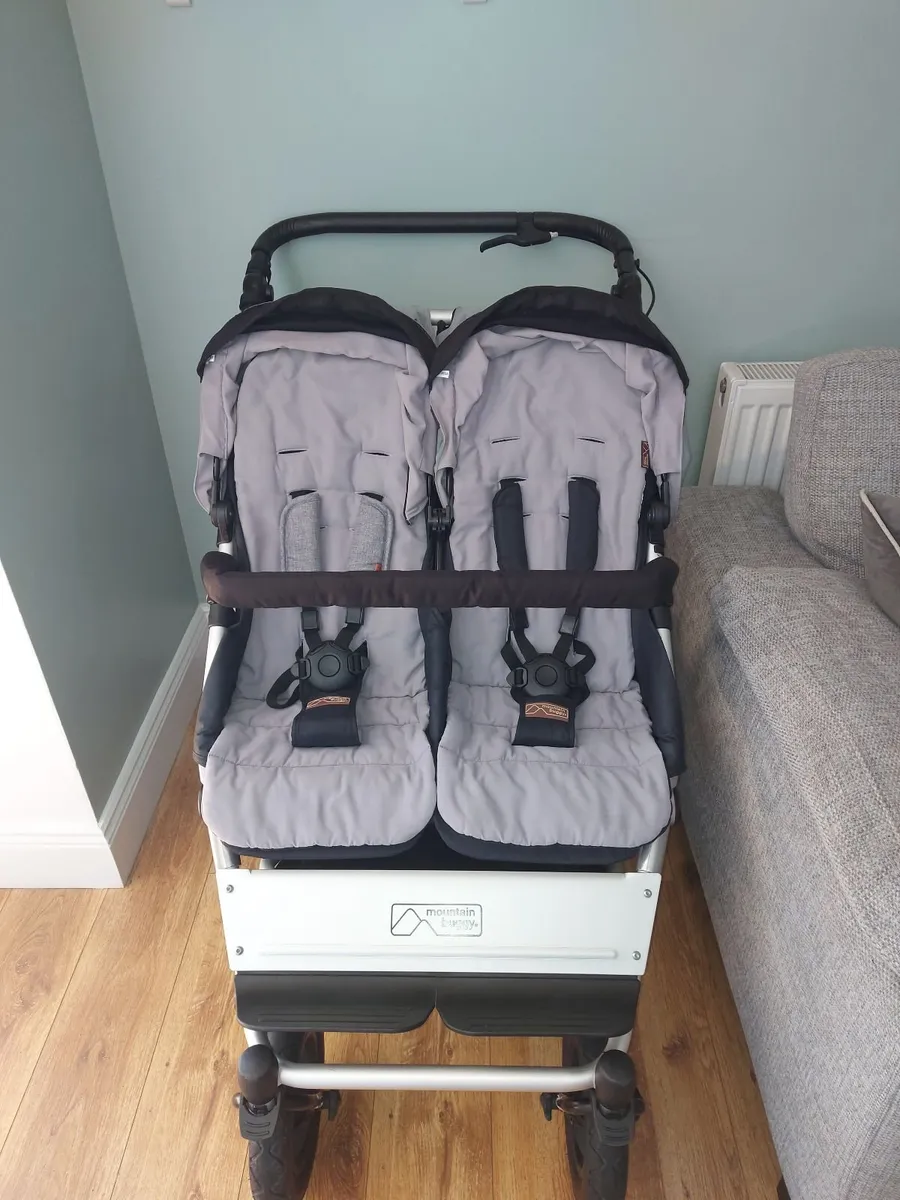 Double buggy - Image 2