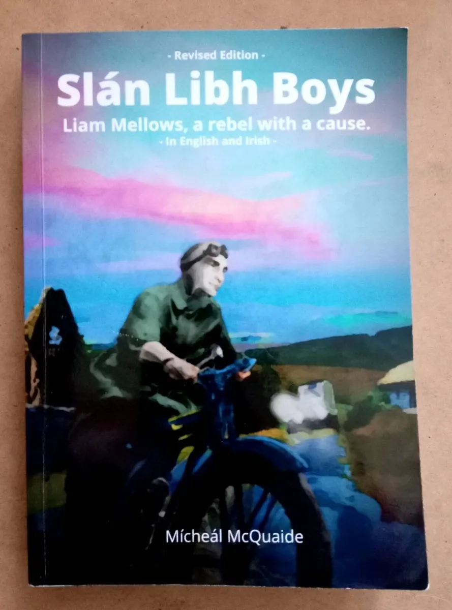 Slán Libh Boys Liam Mellows Book