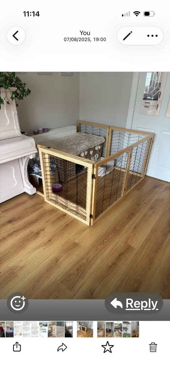 Dog gate - Image 4