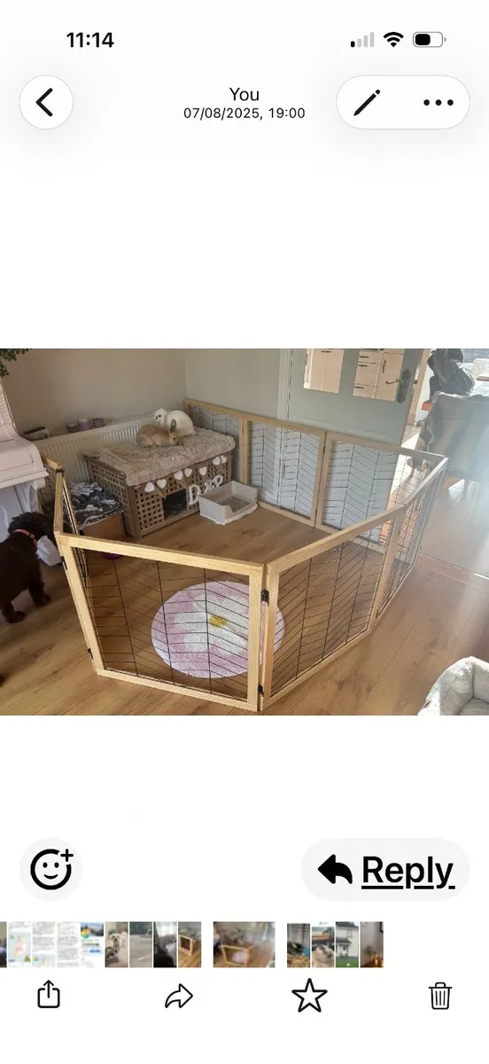 Dog gate - Image 3