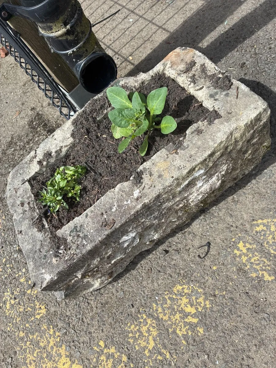 Sandstone Planters - Image 3