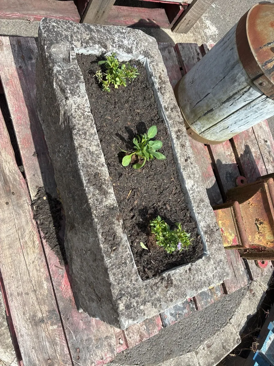 Sandstone Planters - Image 4