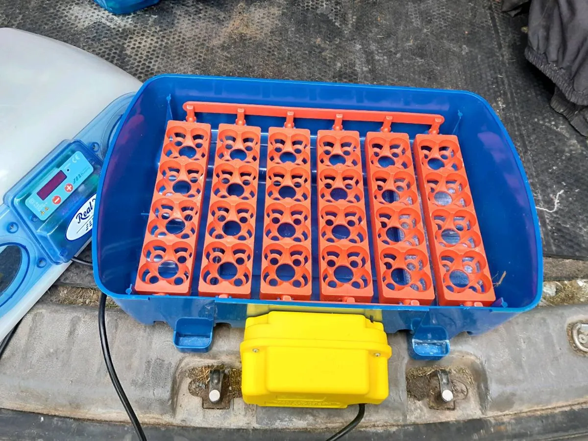 Egg incubator - Image 2