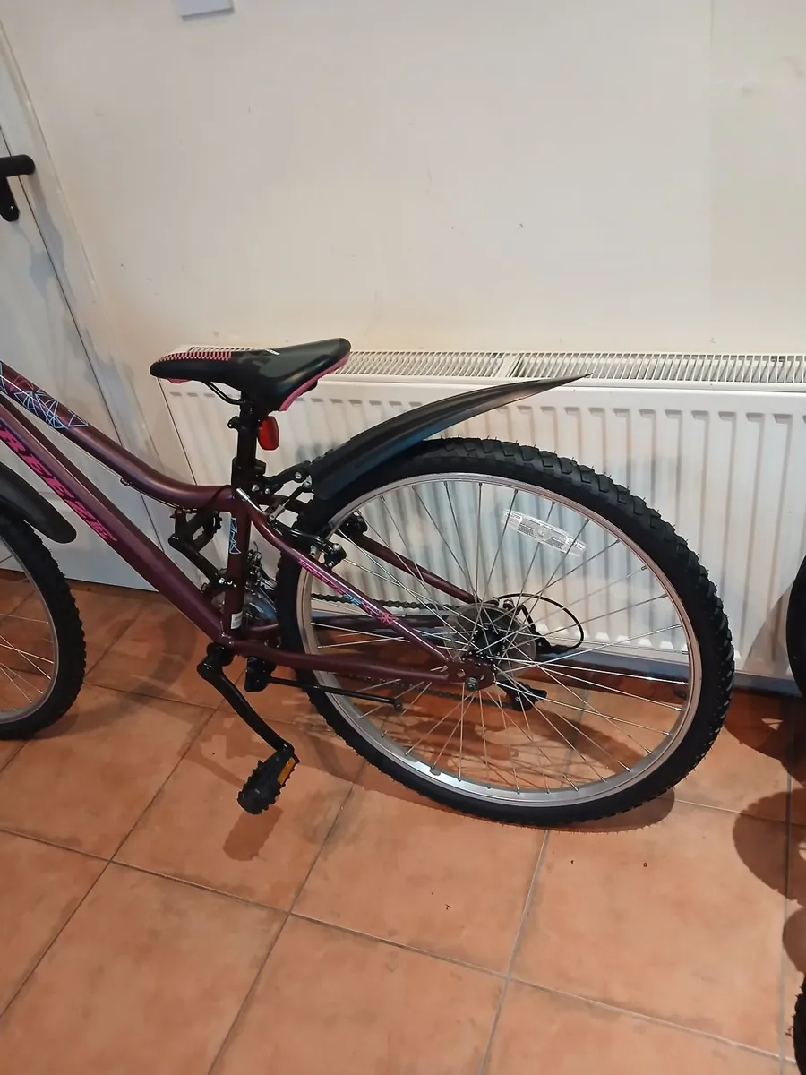 Bicycle - Image 2