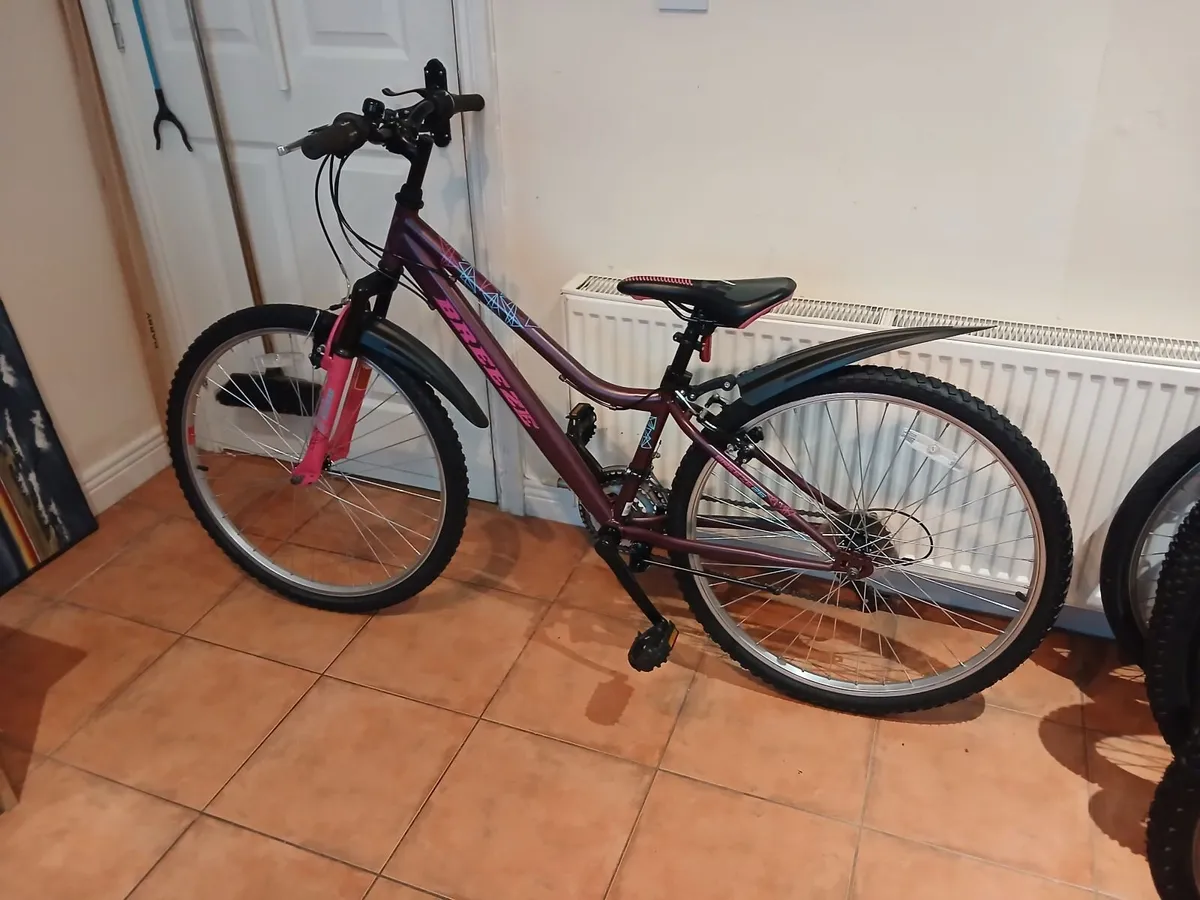 Bicycle - Image 1