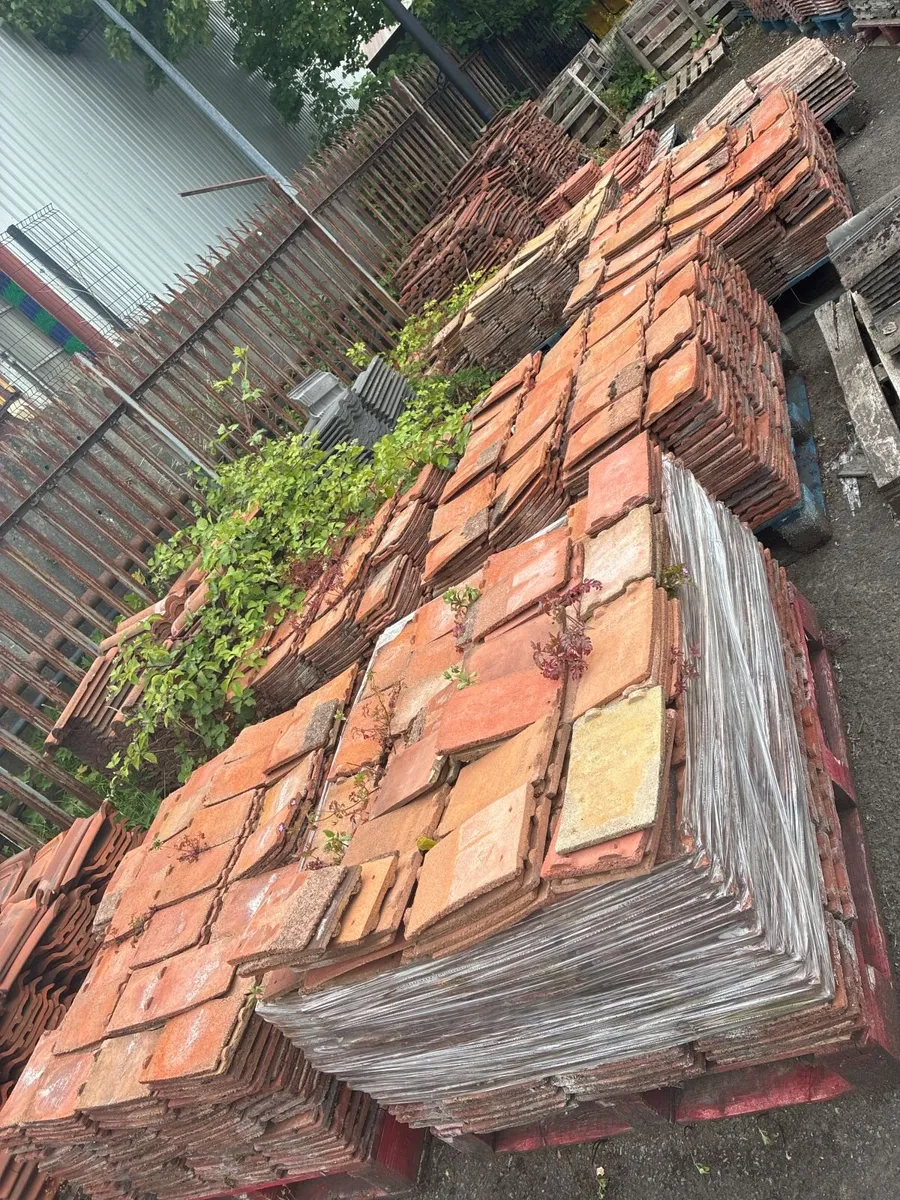 Rosemary Roof Tiles - Image 4