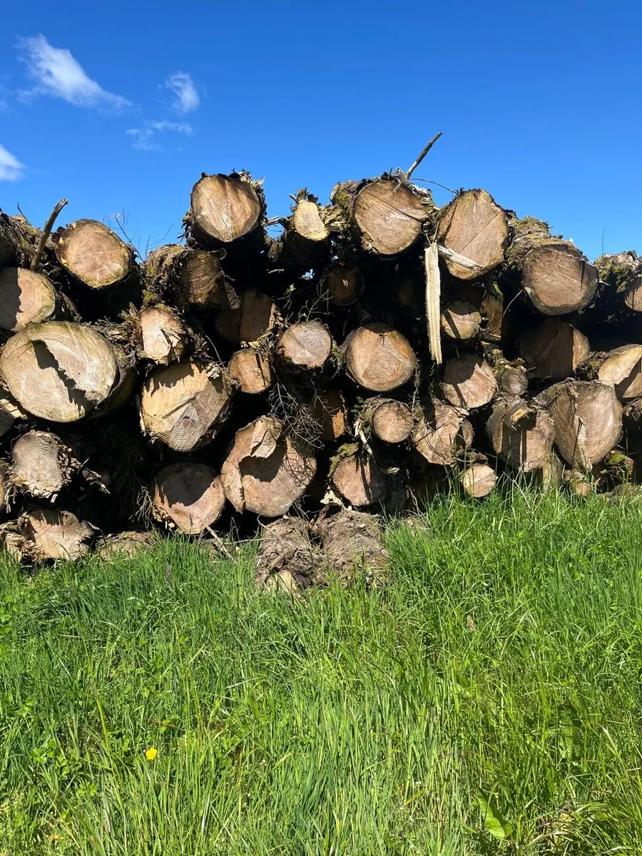 Timber for sale - Image 1