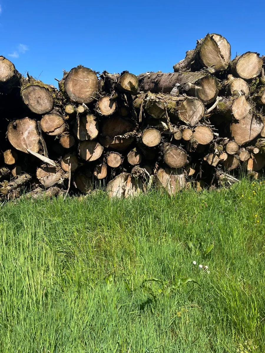 Timber for sale - Image 3