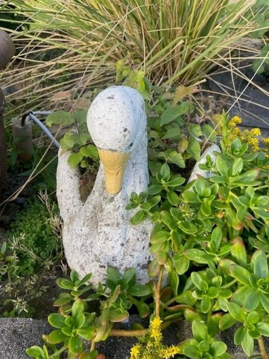 Flower Pots - Image 4