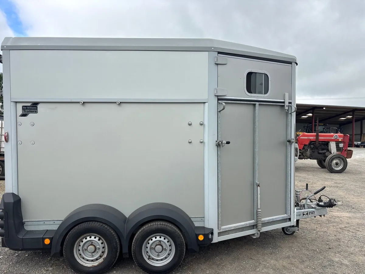 IFOR WILLIAMS HB511 SILVER MINT - Image 3