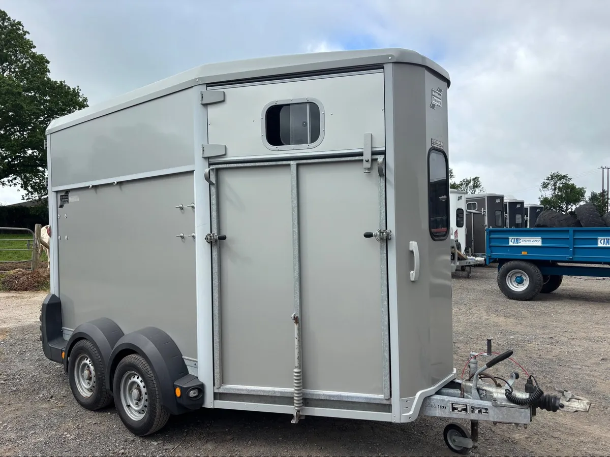 IFOR WILLIAMS HB511 SILVER MINT - Image 1