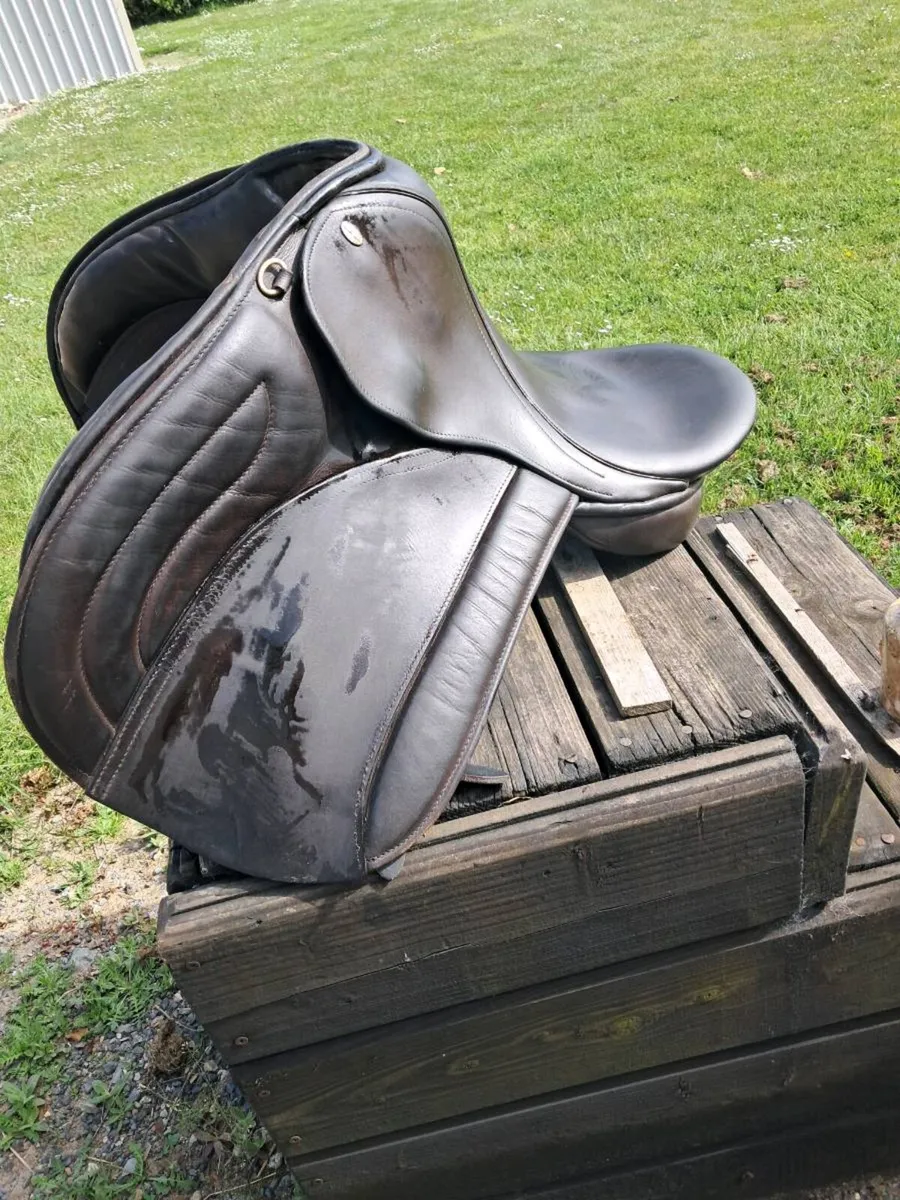 Saddle - Image 1