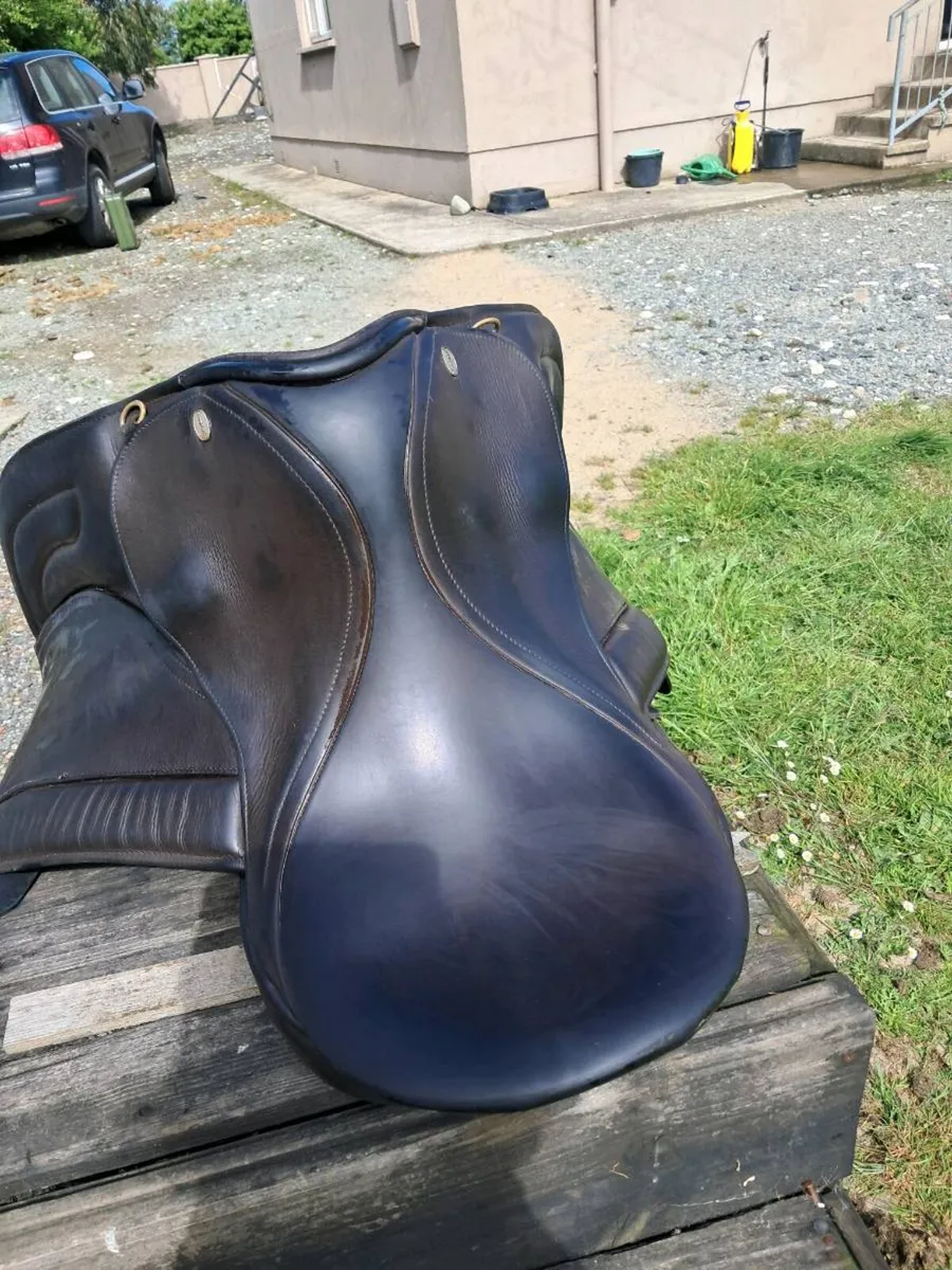 Saddle - Image 2