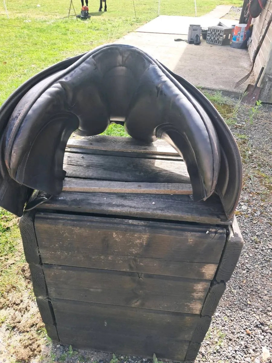 Saddle - Image 3