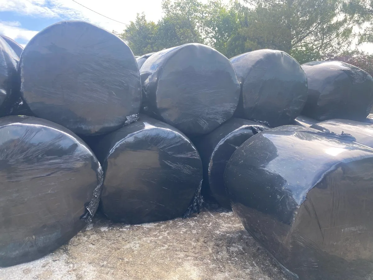 Baled silage - Image 2