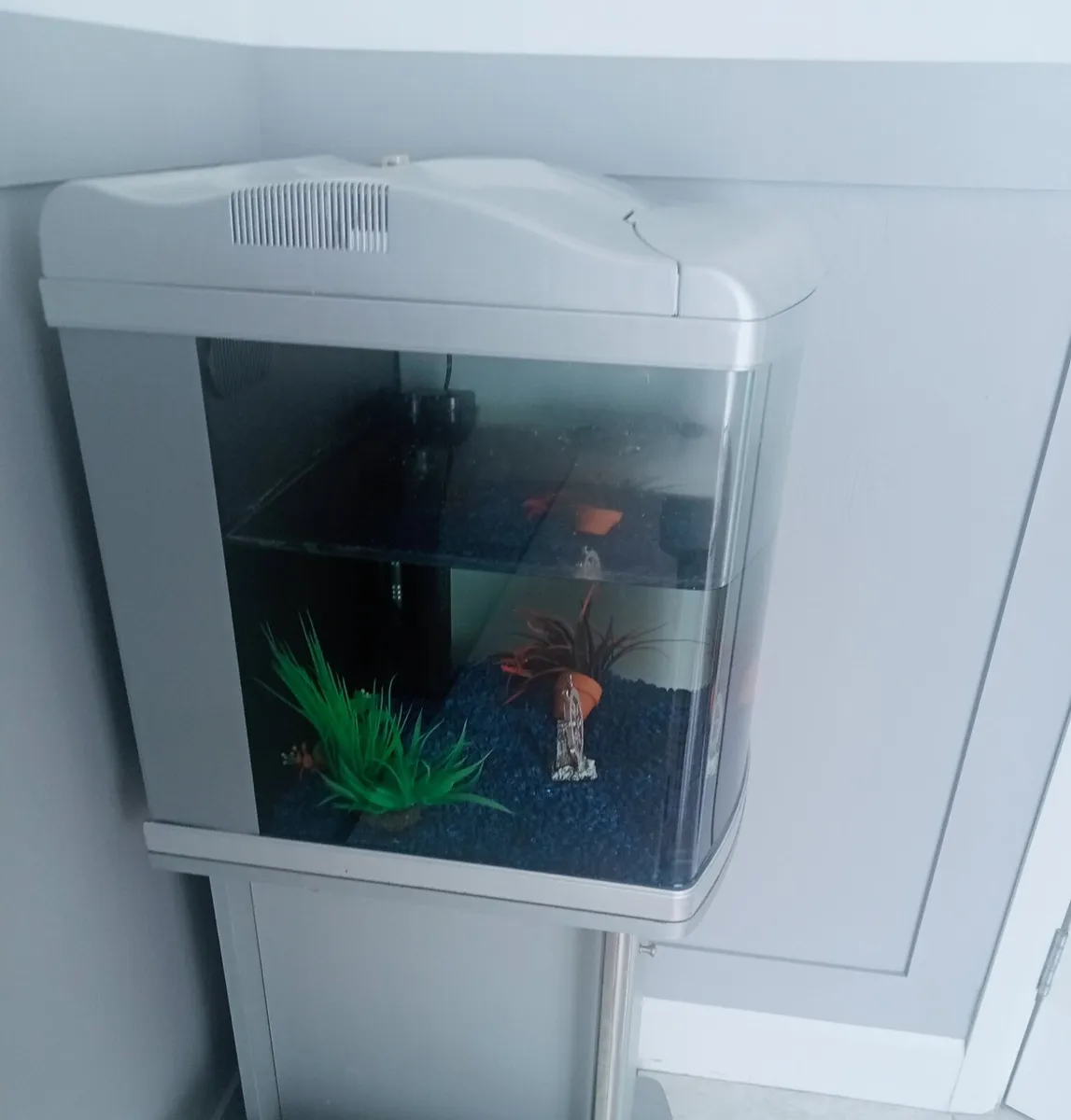 Fish tank - Image 2
