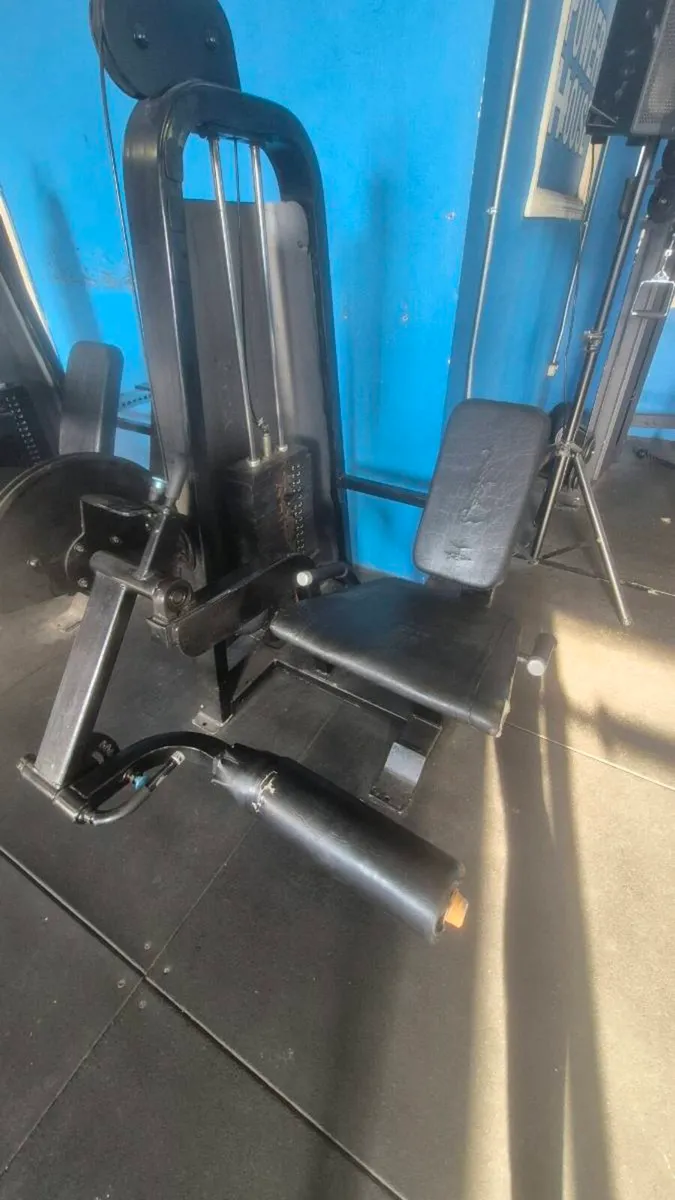 Precor Leg machines- leg curl, leg ext, adductor - Image 1