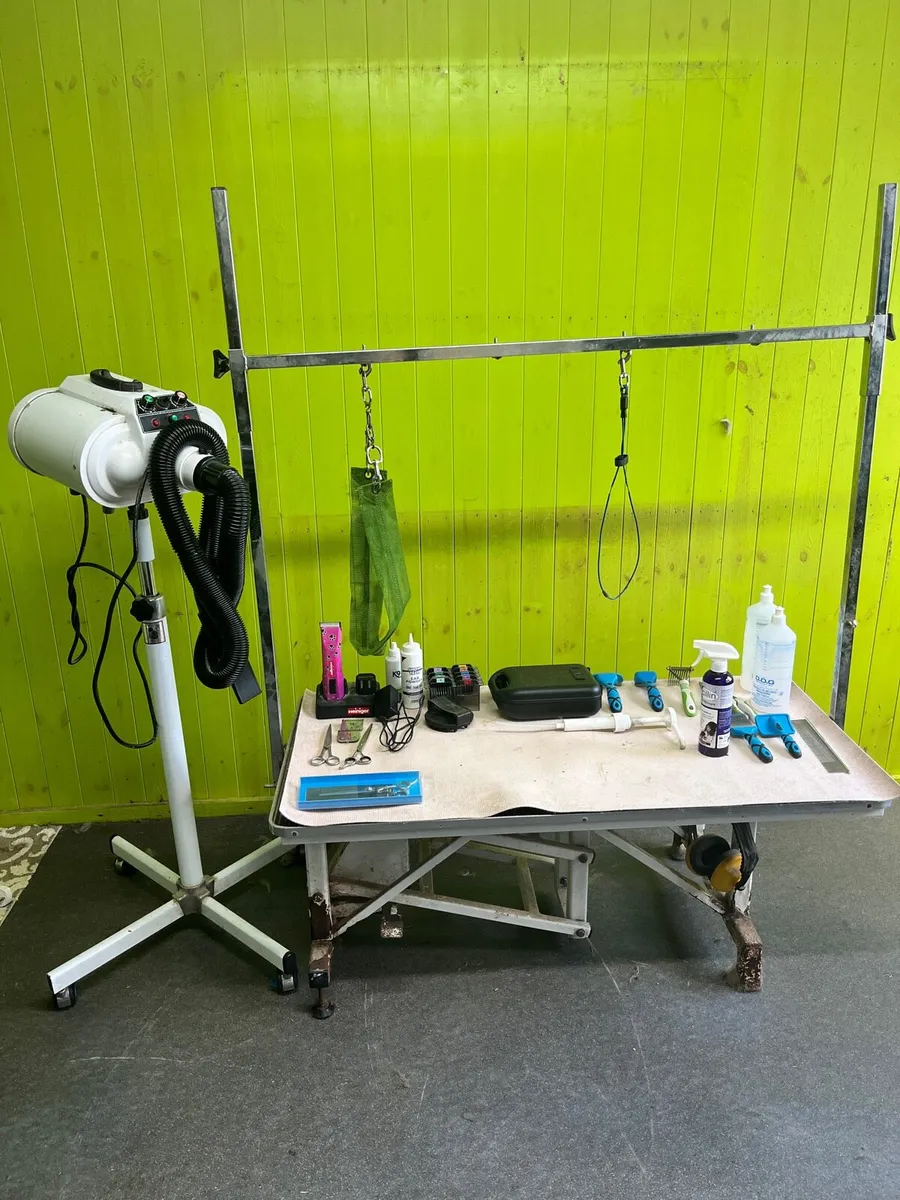 Dog Grooming Equipment - Image 1