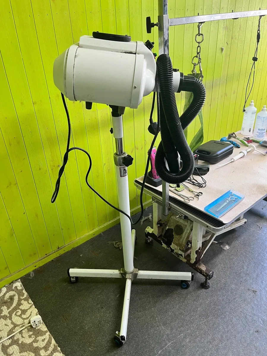 Dog Grooming Equipment - Image 4