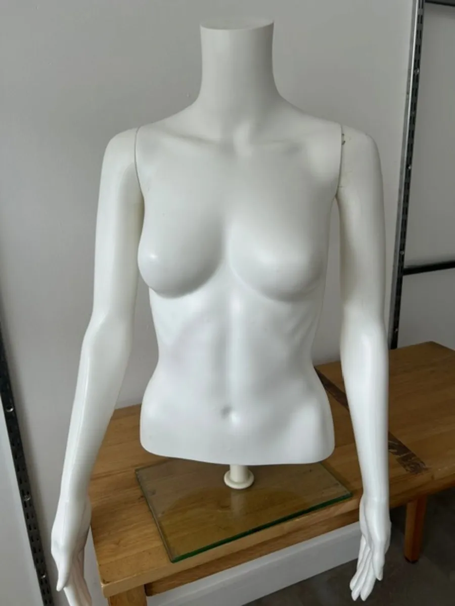 mannequin bust - Image 1