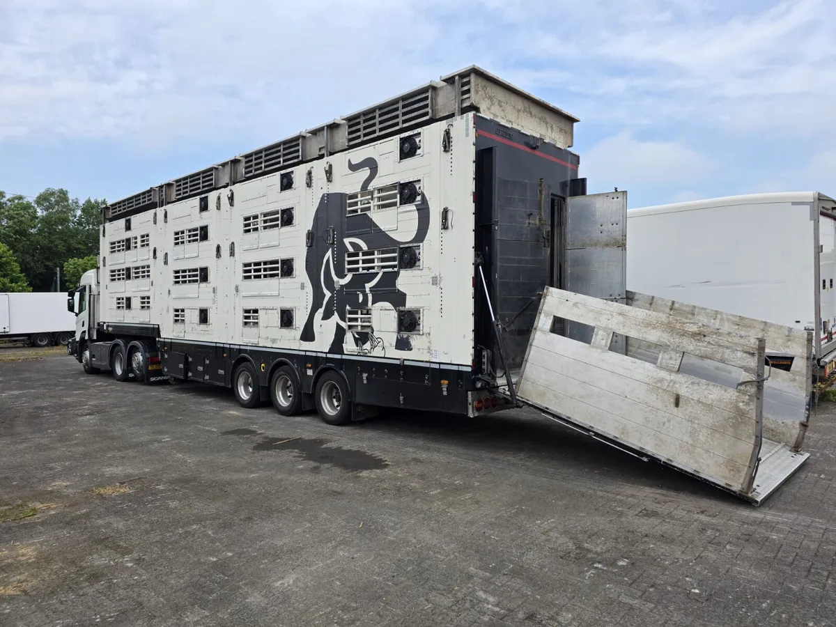 2017 Pezzaioli 2 deck cattle 4 deck sheep - Image 3