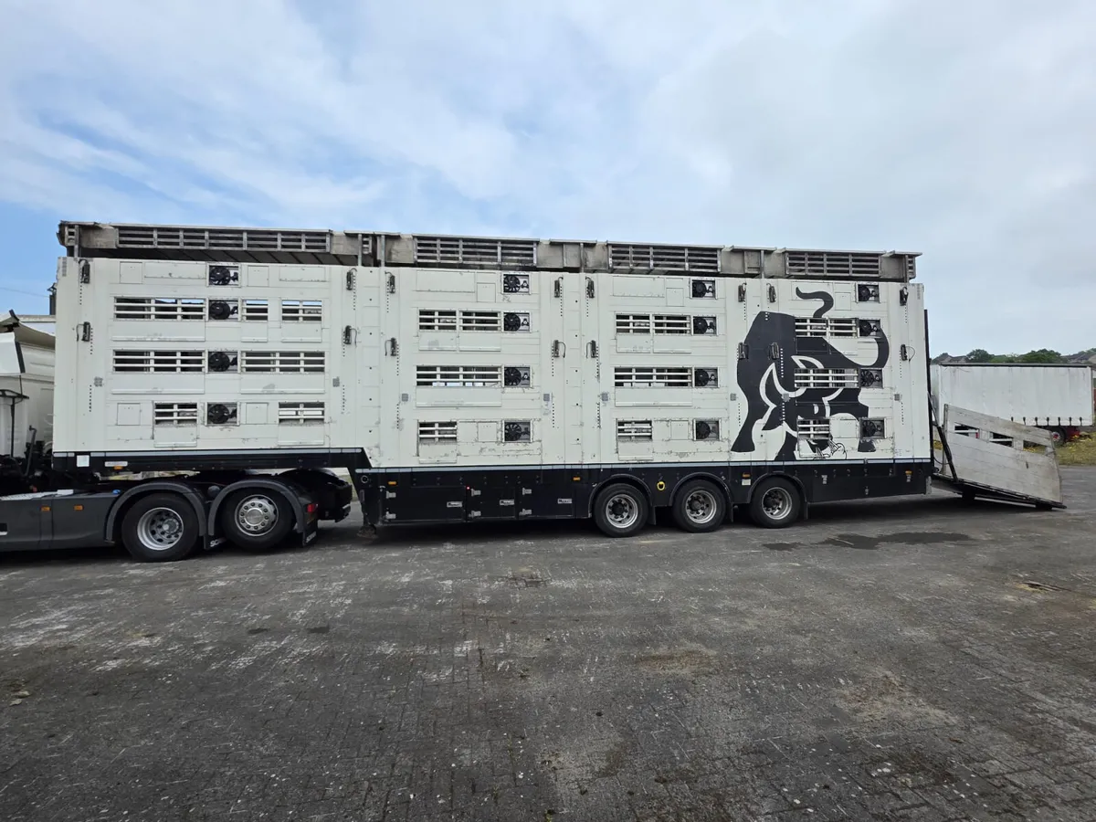 2017 Pezzaioli 2 deck cattle 4 deck sheep - Image 4