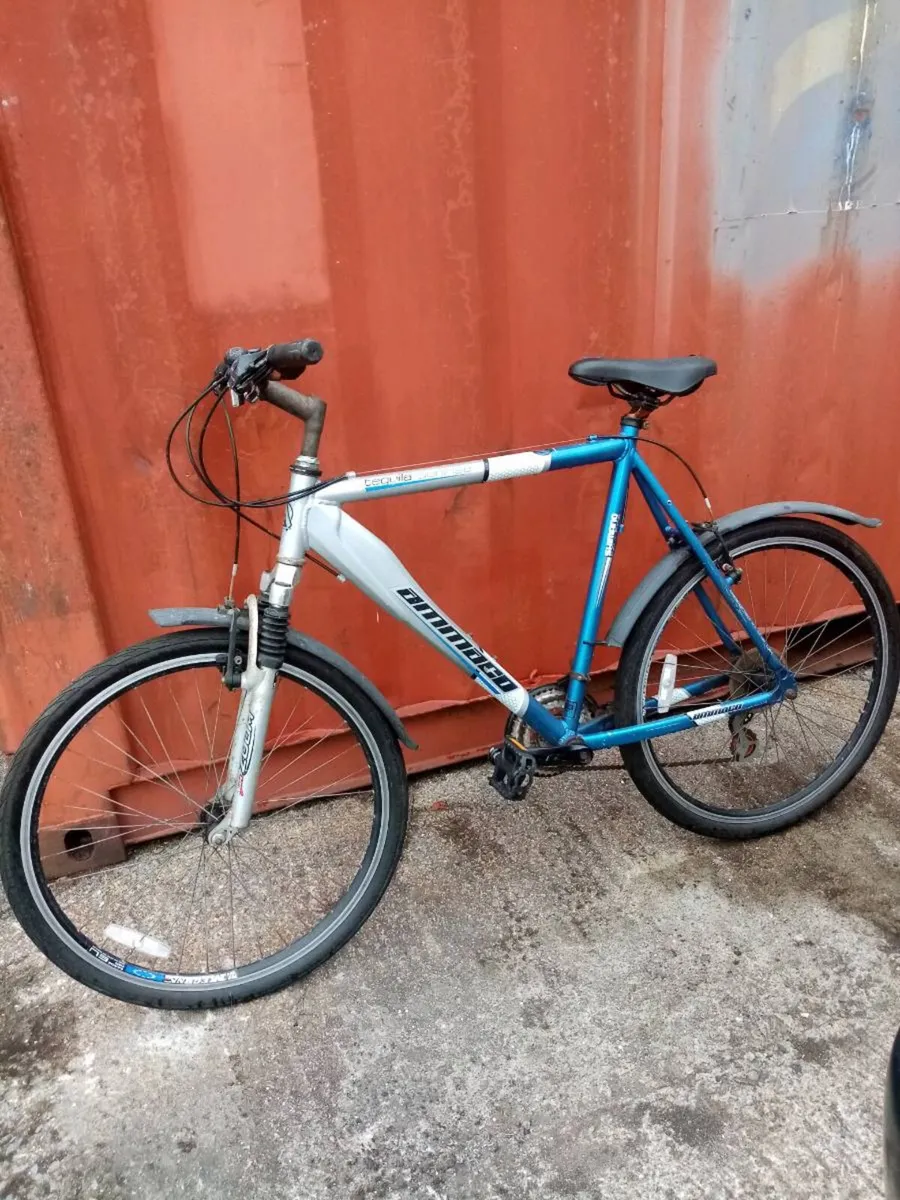 BMX bike - Image 2