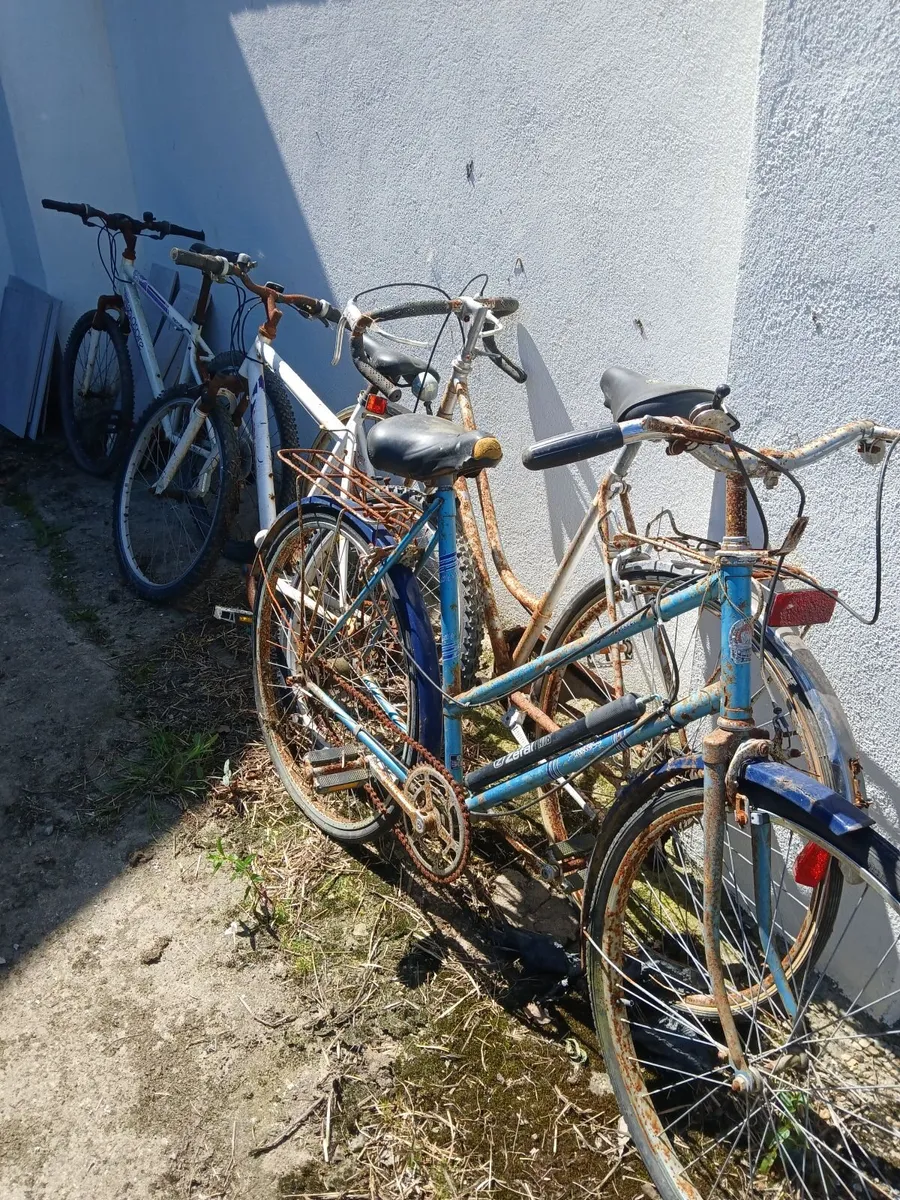 Bicycles for sale - Image 2