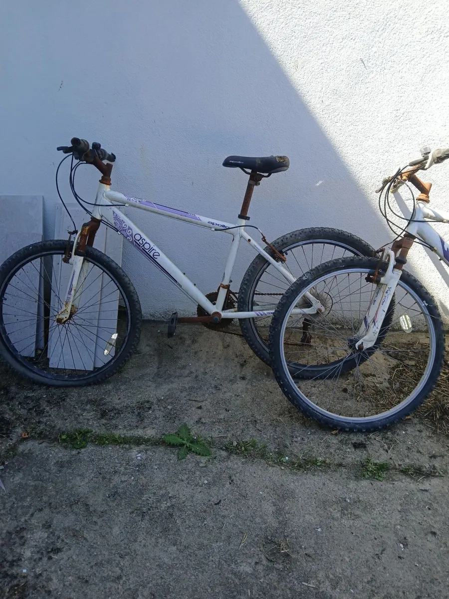 Bicycles for sale - Image 1