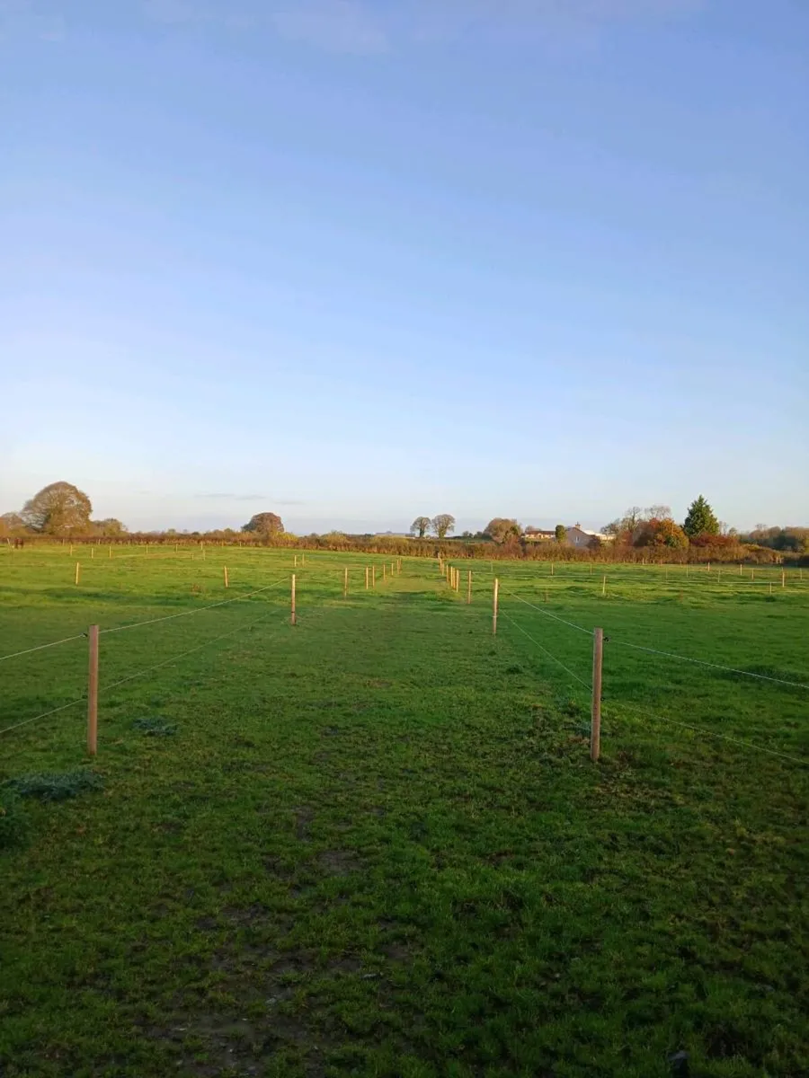 FULL LIVERY CASHEL/THURLES - Image 2