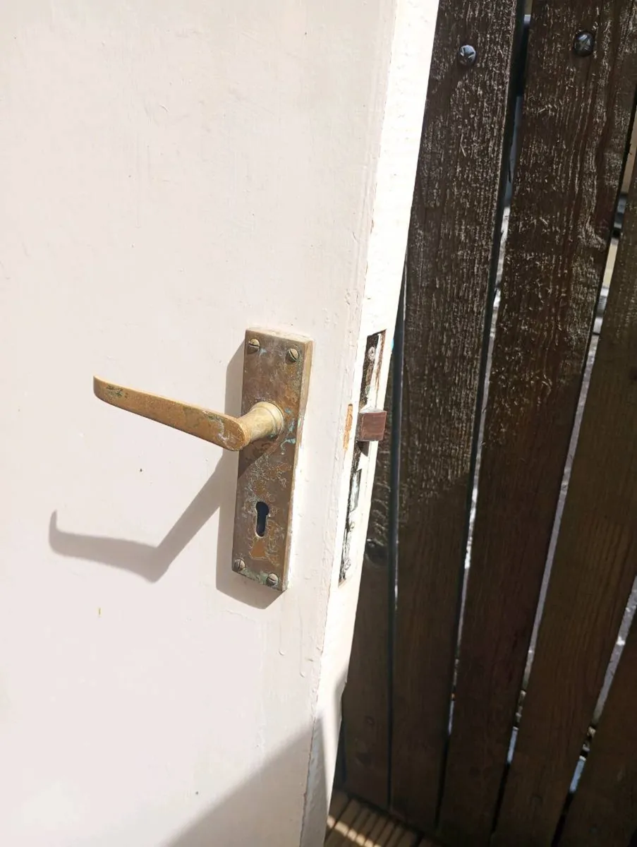 Fire Door Flush - Image 1