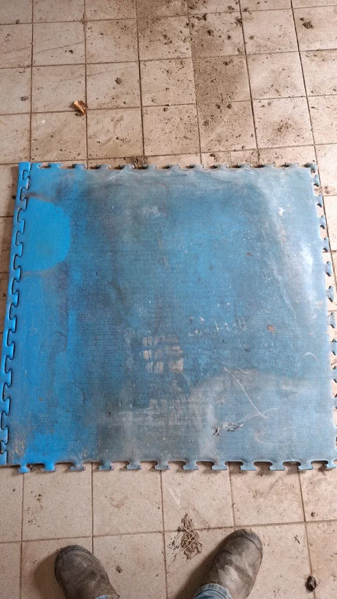 10 interlocking mats