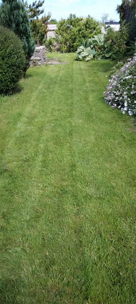 6 hp selfdrive mower - Image 3