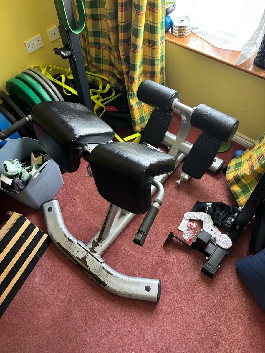 Commercial grade - 45 degree Hyperextension - Image 2