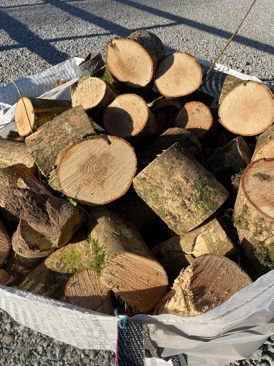 Ash Firewood - Image 1