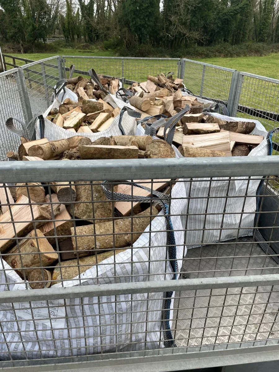 Ash Firewood - Image 3