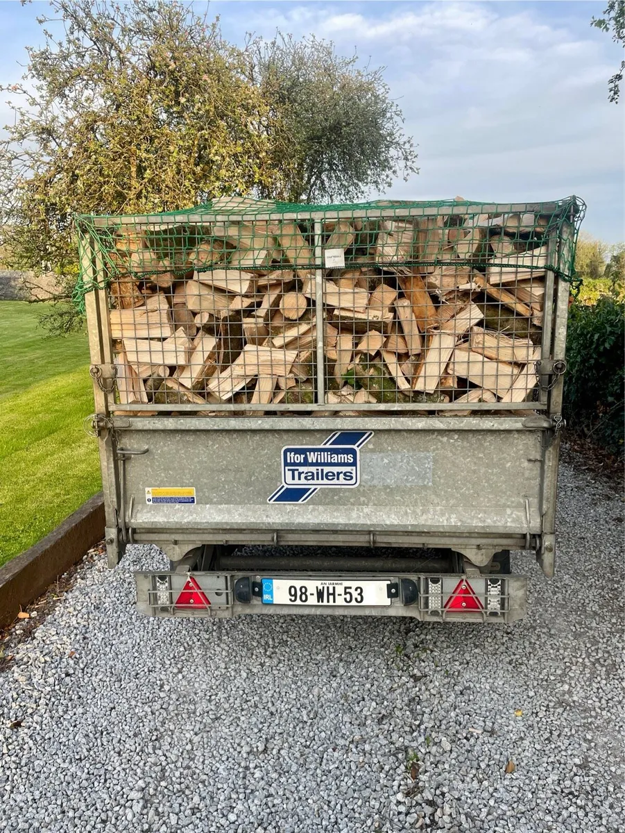 Ash Firewood - Image 4
