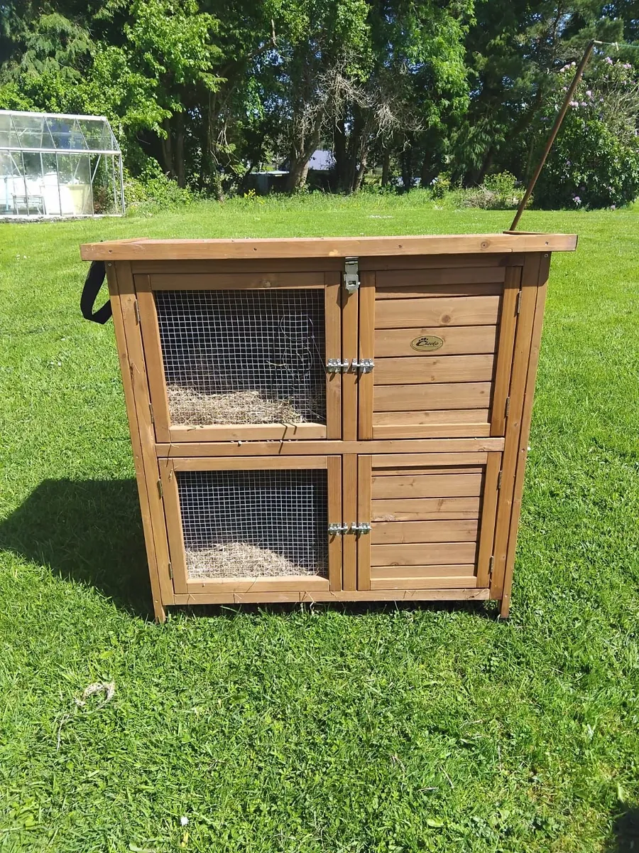 Rabbits and Hutch with Cage - Image 1