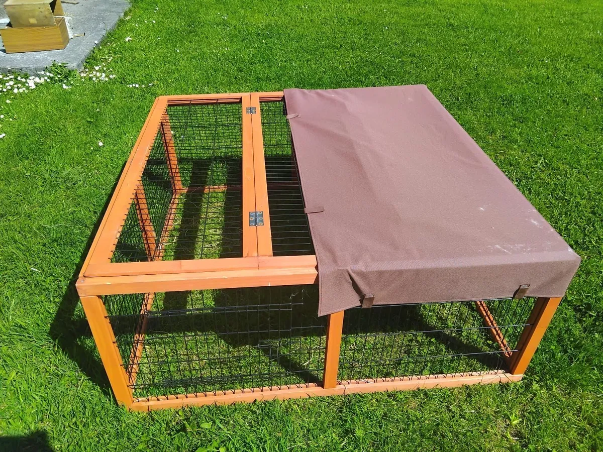 Rabbits and Hutch with Cage - Image 2