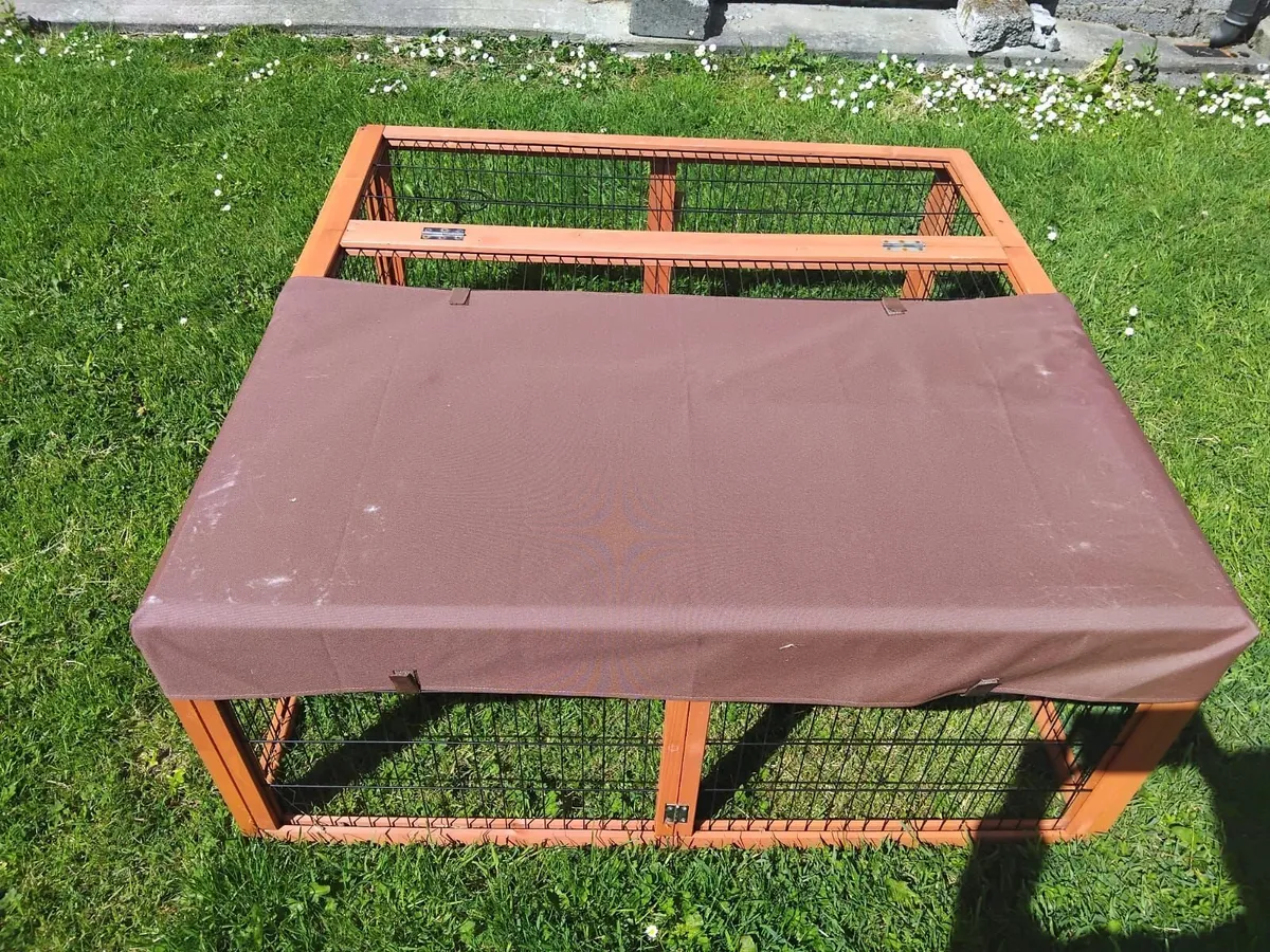 Rabbits and Hutch with Cage - Image 3