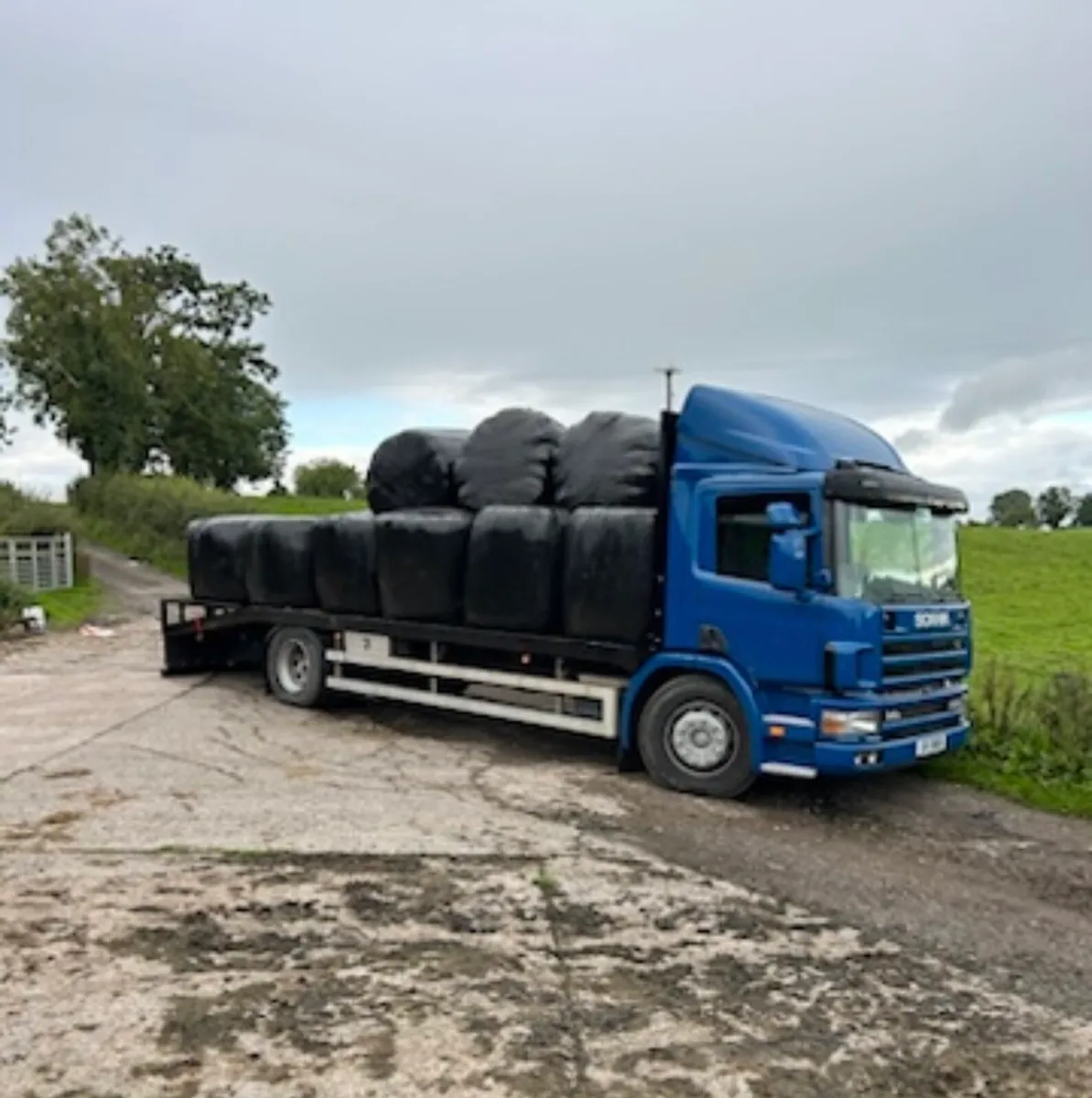 Scania - Image 3