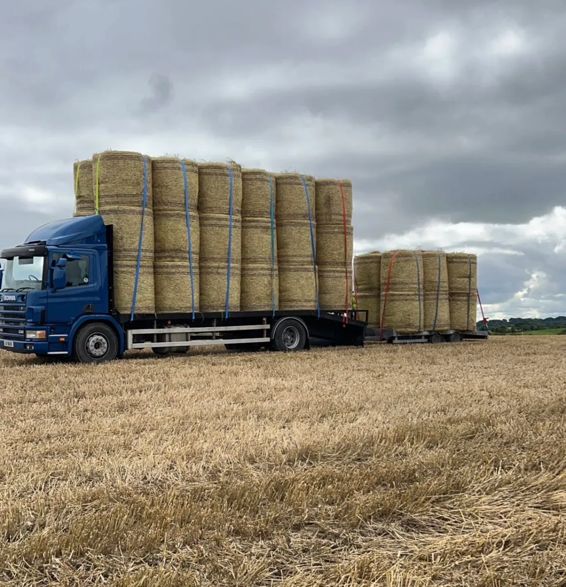 Scania - Image 2