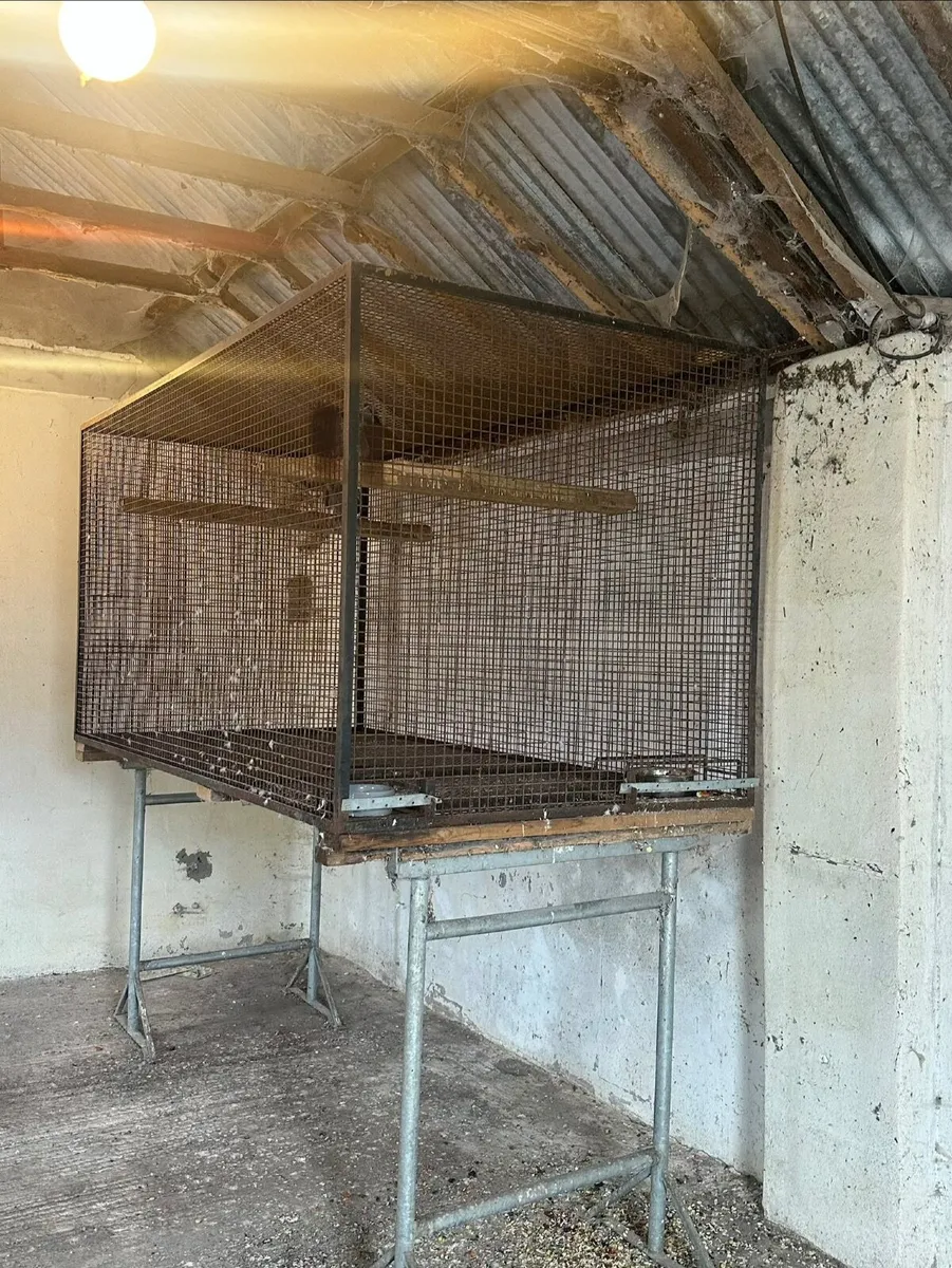 Large Metal Bird cage / Bird Aviary  8ft x 4ft x 4 - Image 1