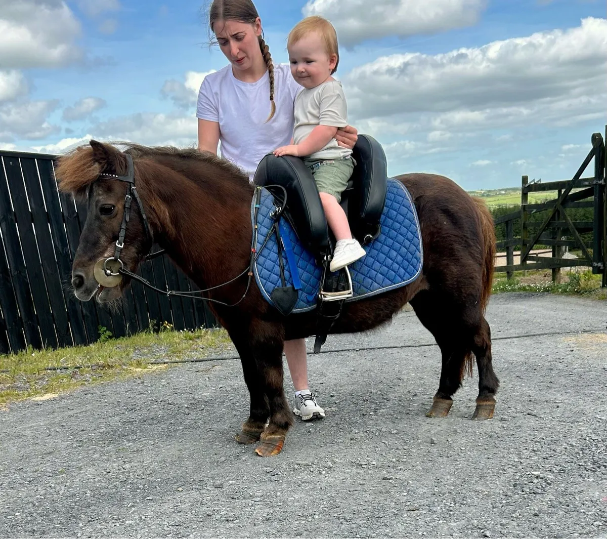 Perfect family pony - Image 2