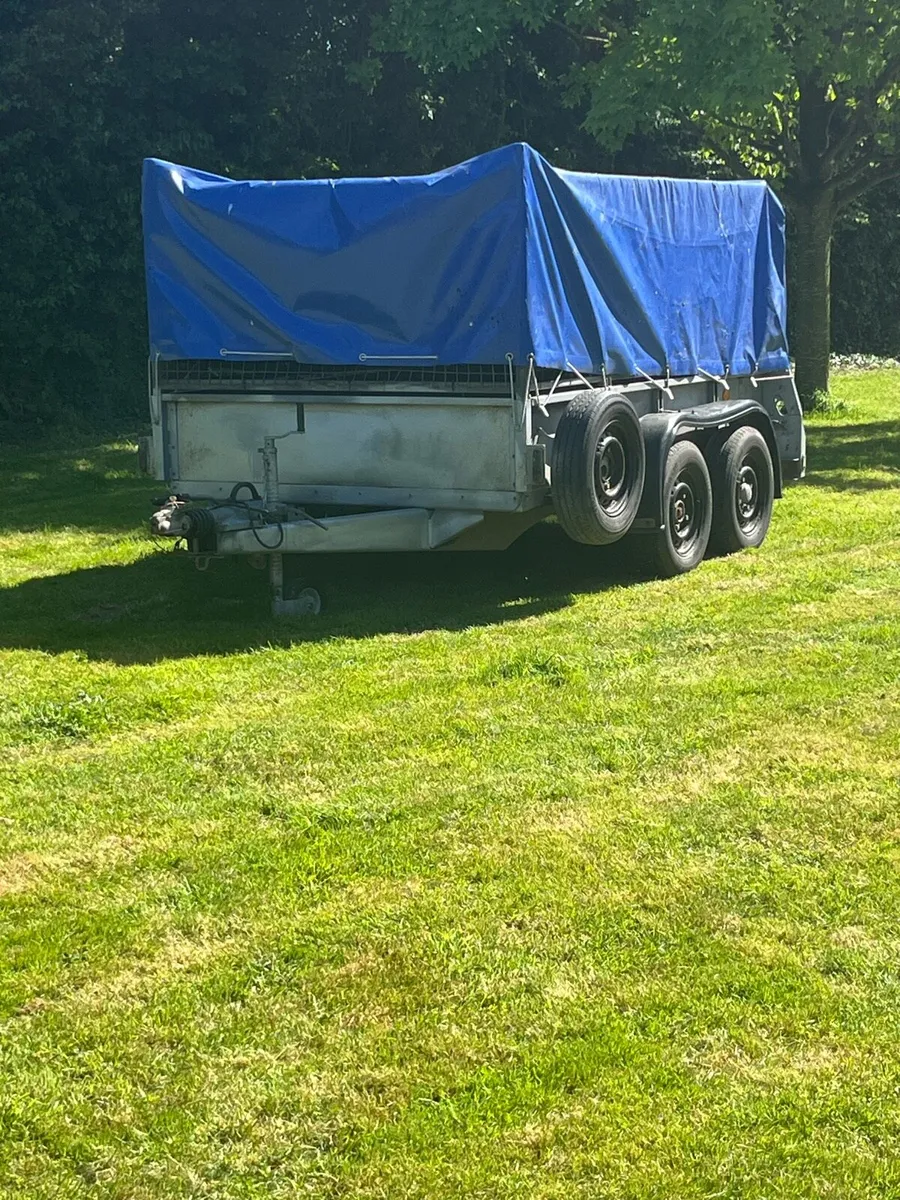 8x5 ifor williams  trailer - Image 1
