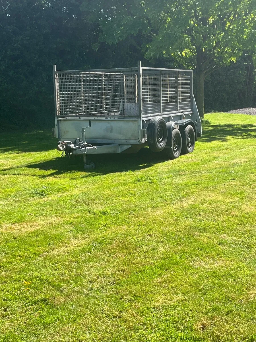 8x5 ifor williams  trailer - Image 2