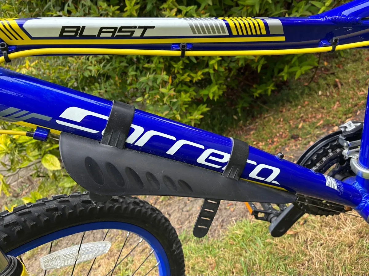 Mountain bike - Image 1