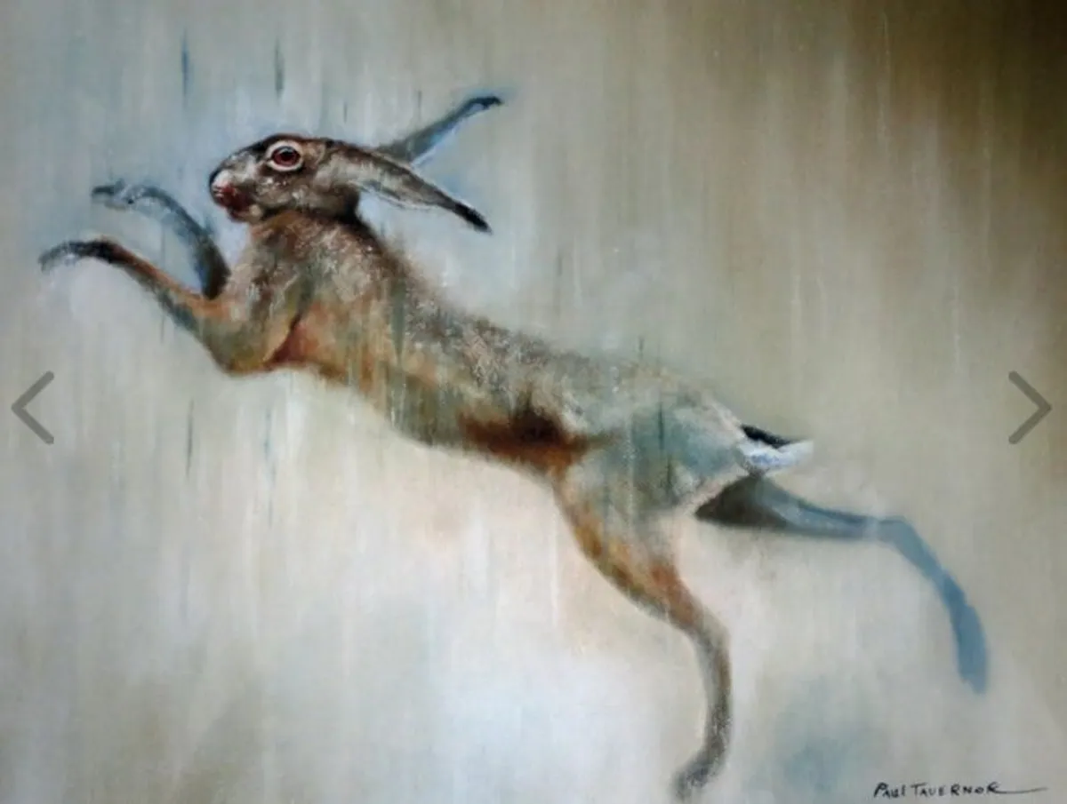 Hare prints - Image 3
